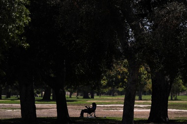 A person sits in the shade of trees in a nearly empty park in Los Angeles, Friday, July 31,&nbsp;2026. 

