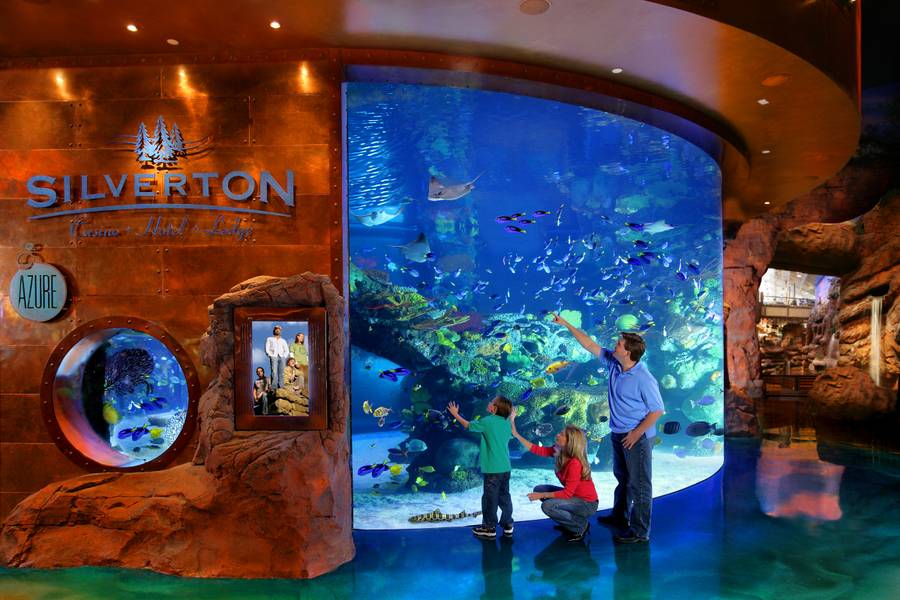 Silverton Aquarium
