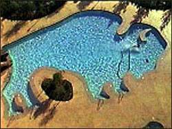 Buffalo Bill's Pool