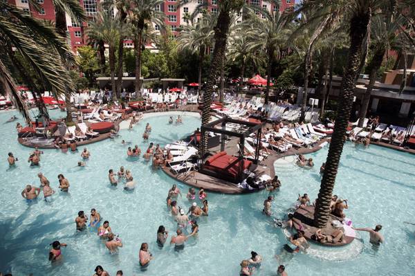 Flamingo Pool Las Vegas - Go and Beach Club Pool Guide