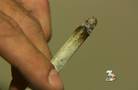 Medical marijuana bill