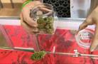 Judge OKs Las Vegas medical pot case, says laws aren't too vague