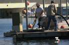 Lake Mead water level rises