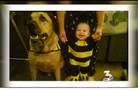 Dog attacks, kills infant