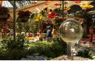 Northeastern flower display at Bellagio